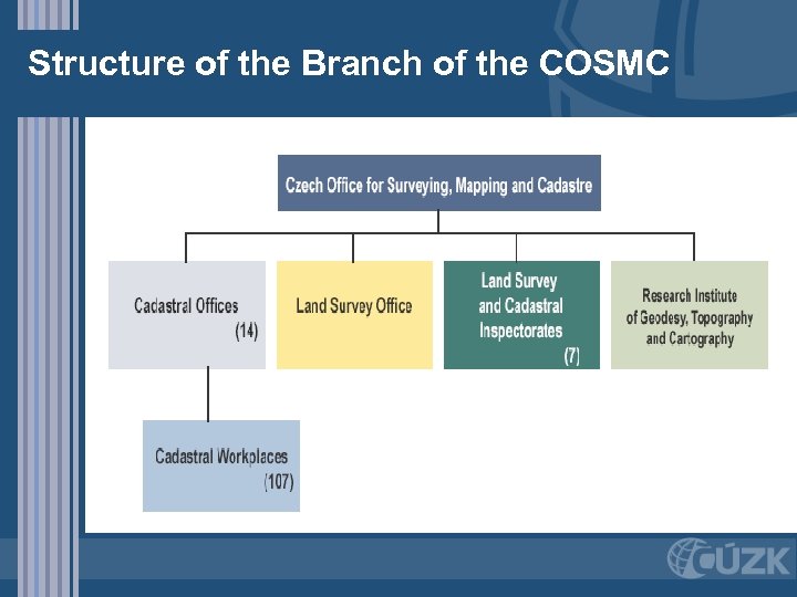 Structure of the Branch of the COSMC 