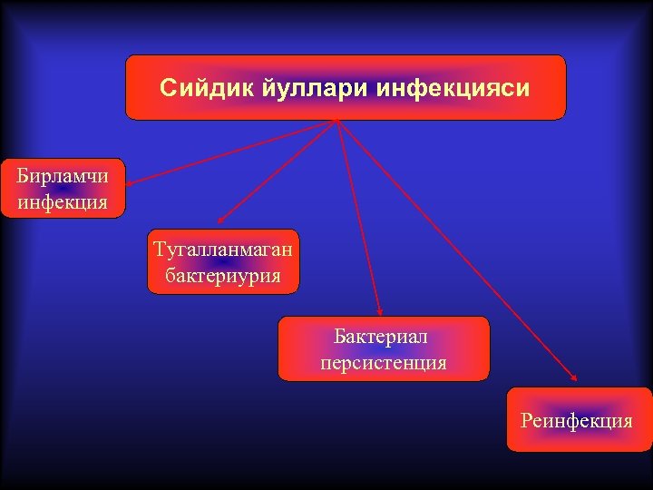 Сийдик йуллари инфекцияси Бирламчи инфекция Тугалланмаган бактериурия Бактериал персистенция Реинфекция 
