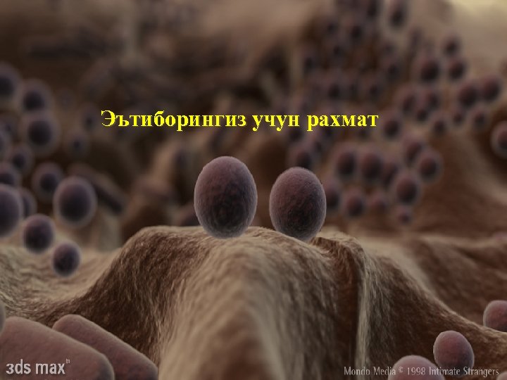 Эътиборингиз учун рахмат 