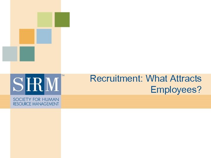 Recruitment: What Attracts Employees? 