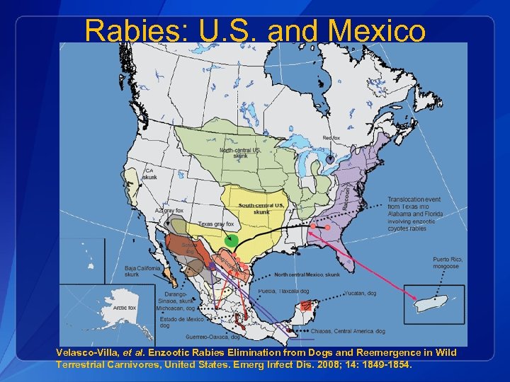 Rabies: U. S. and Mexico Velasco-Villa, et al. Enzootic Rabies Elimination from Dogs and