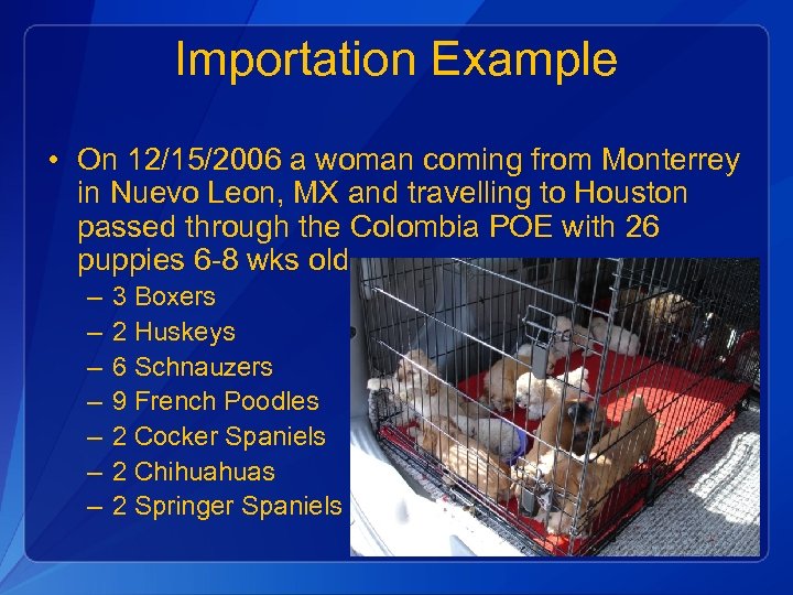 Importation Example • On 12/15/2006 a woman coming from Monterrey in Nuevo Leon, MX