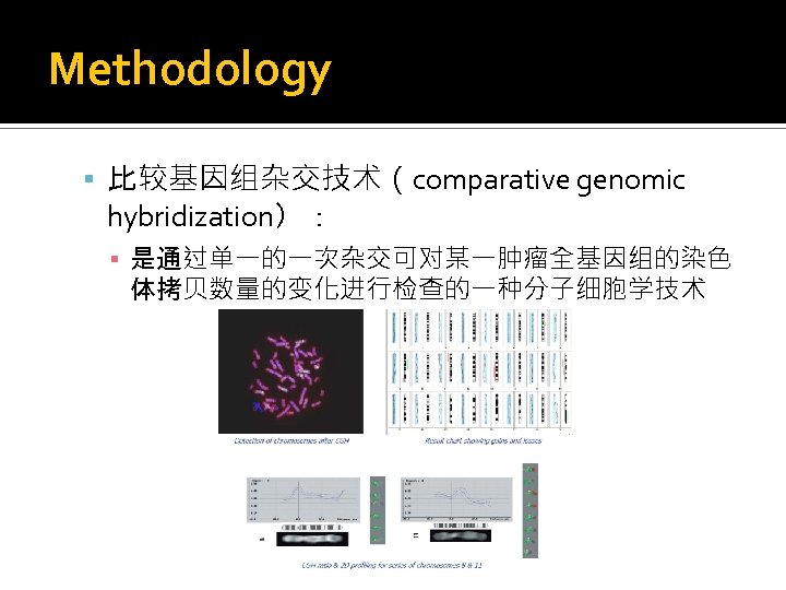 Methodology 比较基因组杂交技术（comparative genomic hybridization）： ▪ 是通过单一的一次杂交可对某一肿瘤全基因组的染色 体拷贝数量的变化进行检查的一种分子细胞学技术 
