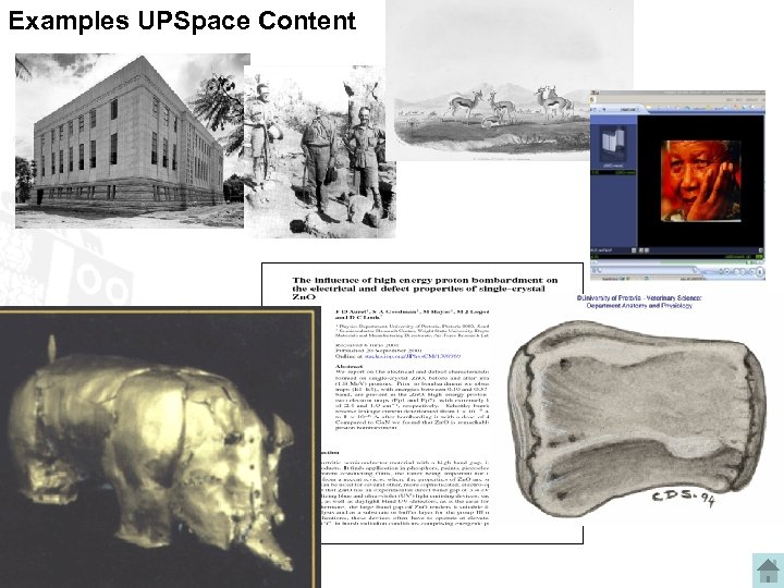 Examples UPSpace Content 