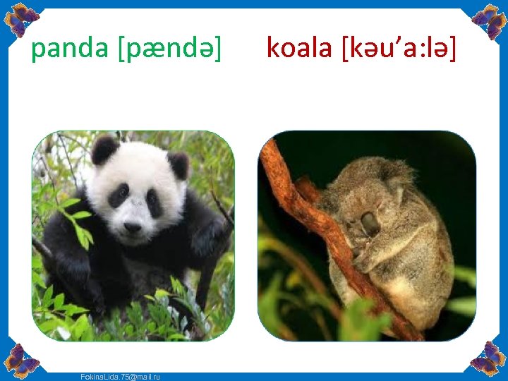 panda [pændə] Fokina. Lida. 75@mail. ru koala [kəu’a: lə] 