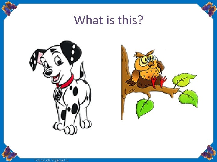 What is this? Fokina. Lida. 75@mail. ru 