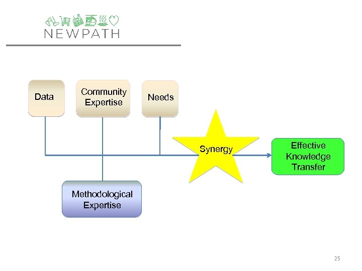 Data Community Expertise Needs Synergy Effective Knowledge Transfer Methodological Expertise 25 