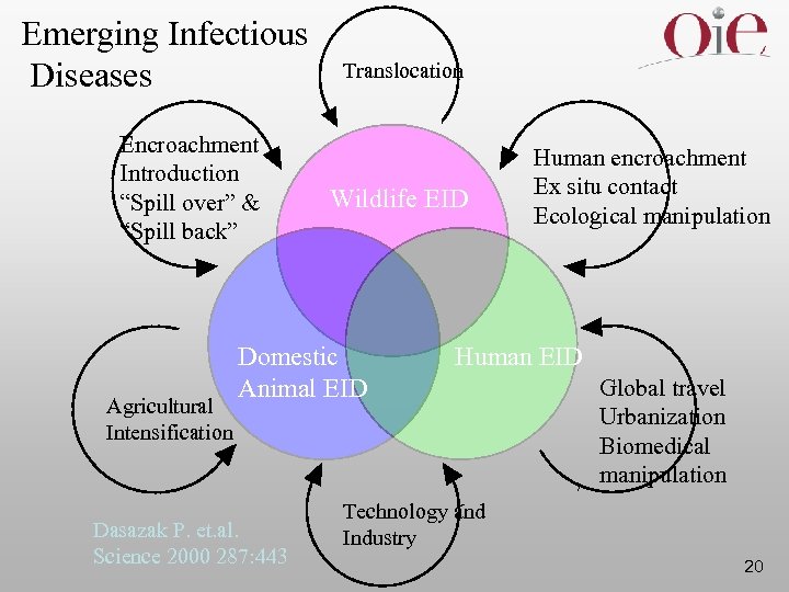 Emerging Infectious Diseases Encroachment Introduction “Spill over” & “Spill back” Agricultural Intensification Translocation Wildlife