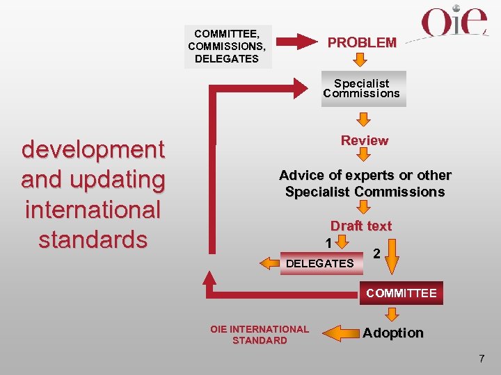 COMMITTEE, COMMISSIONS, DELEGATES PROBLEM Specialist Commissions development and updating international standards Review Advice of