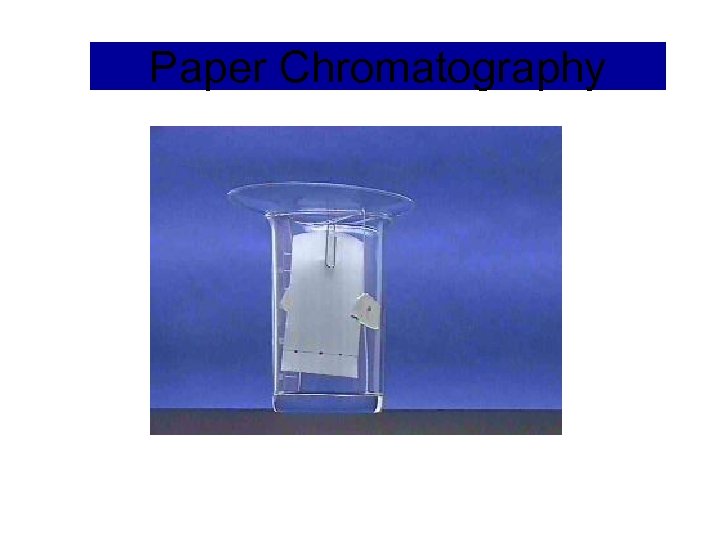 Paper Chromatography 