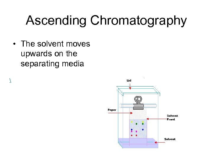 Ascending Chromatography • The solvent moves upwards on the separating media  