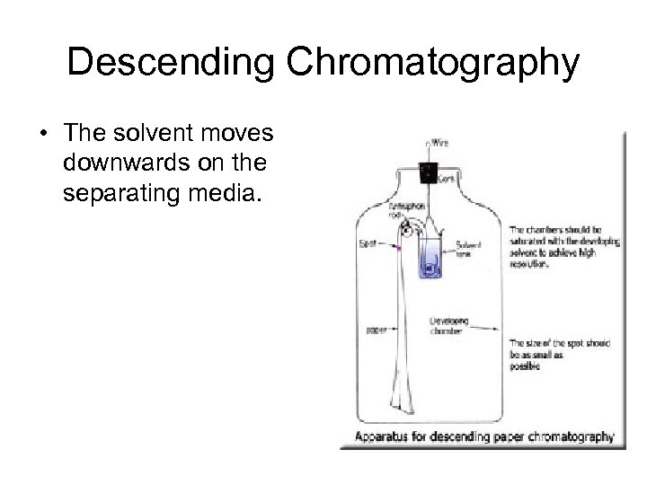 Descending Chromatography • The solvent moves downwards on the separating media. 