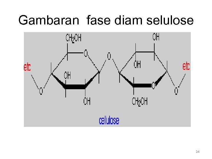 Gambaran fase diam selulose 24 