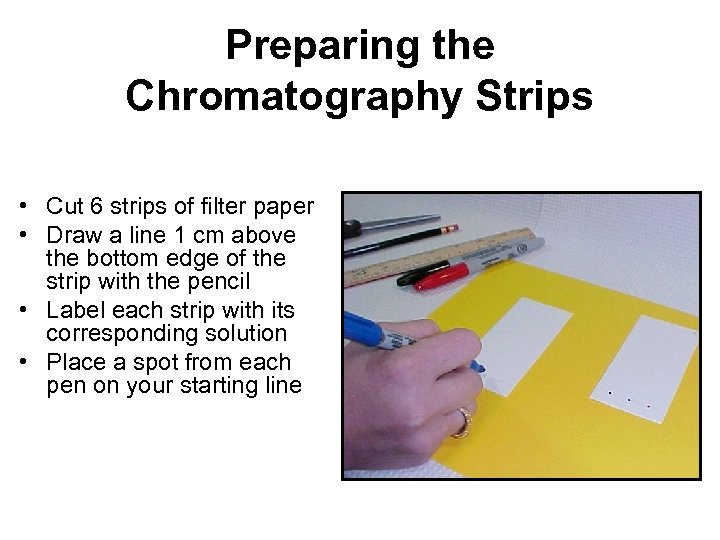 Preparing the Chromatography Strips • Cut 6 strips of filter paper • Draw a