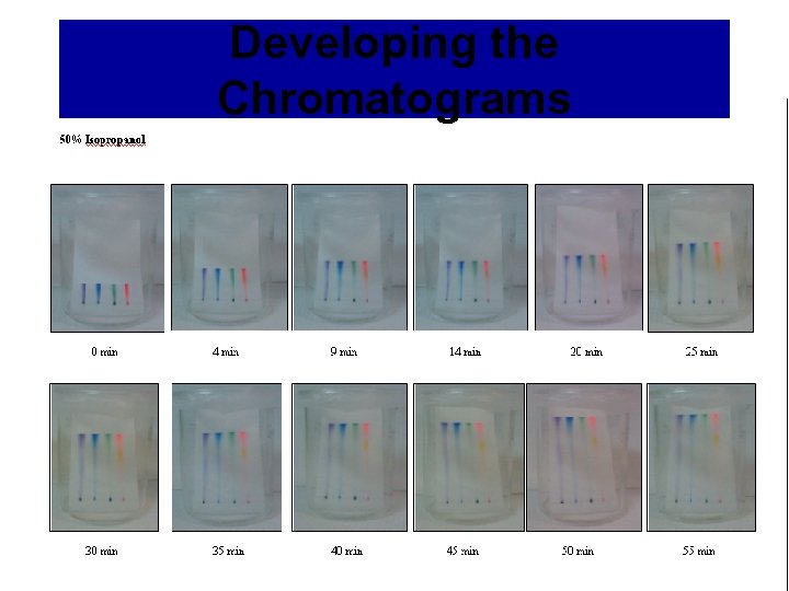 Developing the Chromatograms 