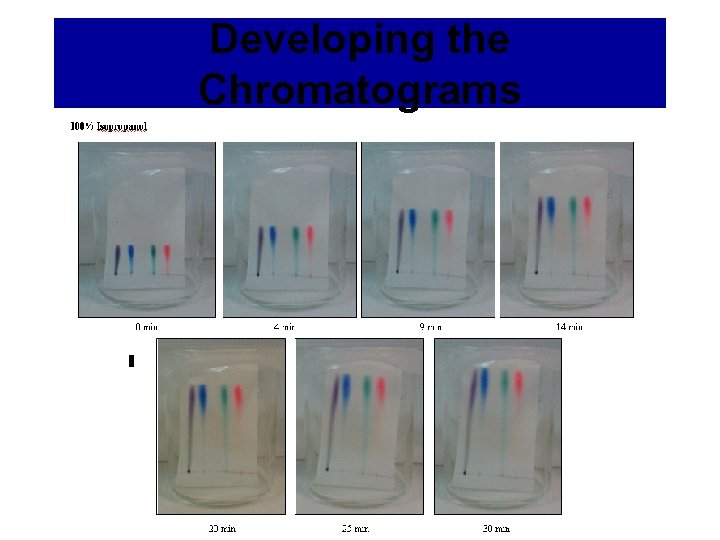 Developing the Chromatograms 