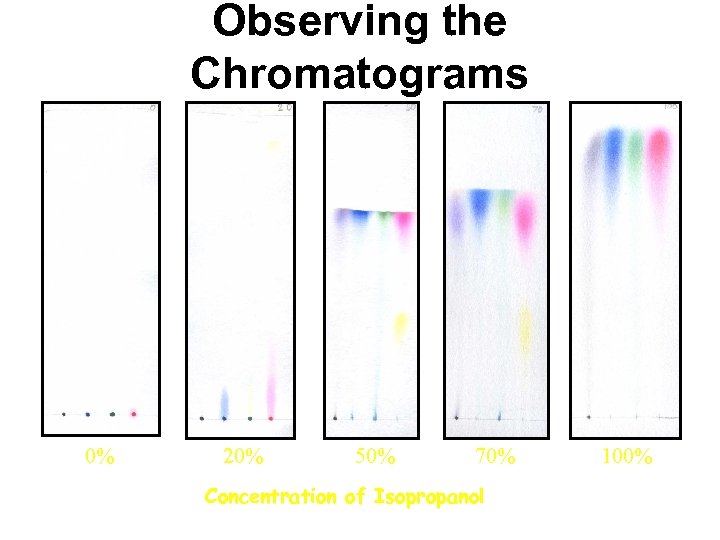 Observing the Chromatograms 0% 20% 50% 70% Concentration of Isopropanol 100% 