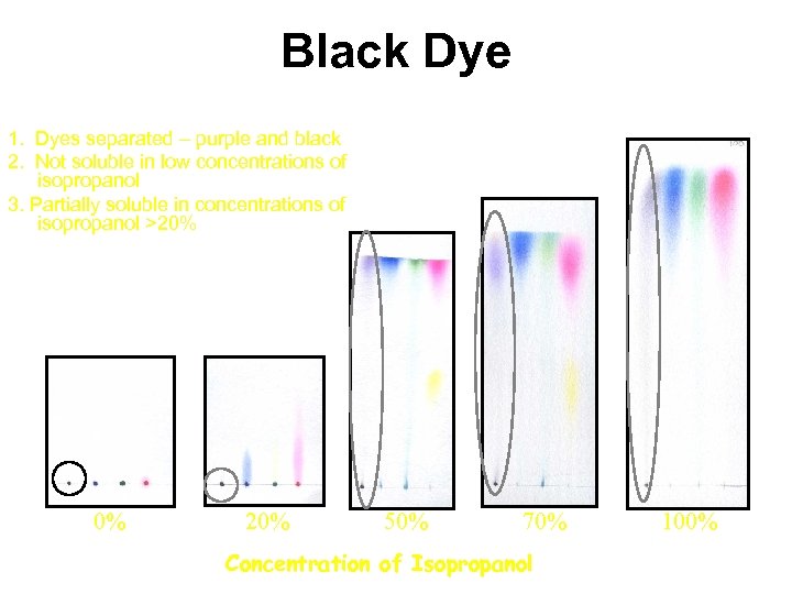 Black Dye 1. Dyes separated – purple and black 2. Not soluble in low