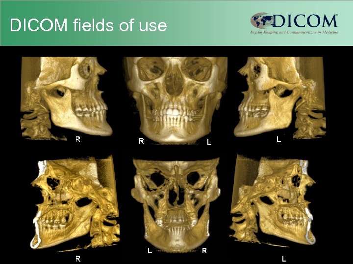 DICOM fields of use 