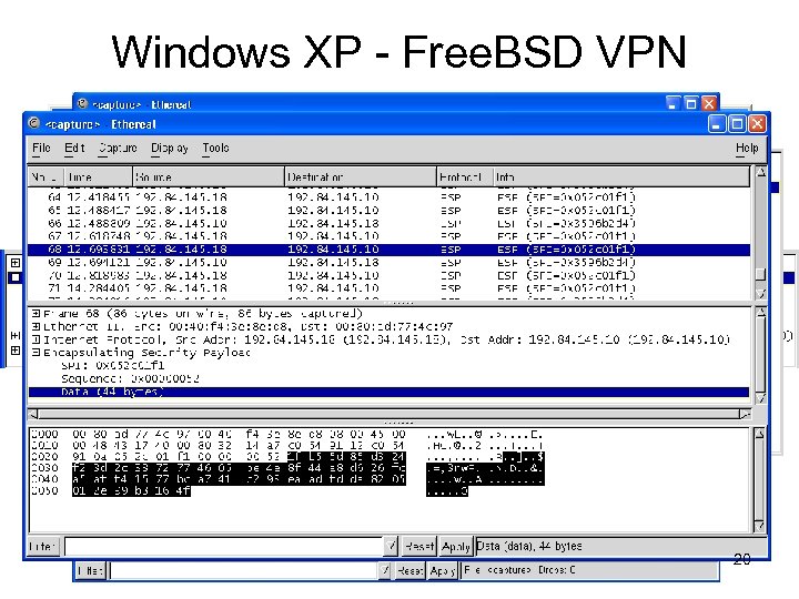 Windows XP - Free. BSD VPN 20 