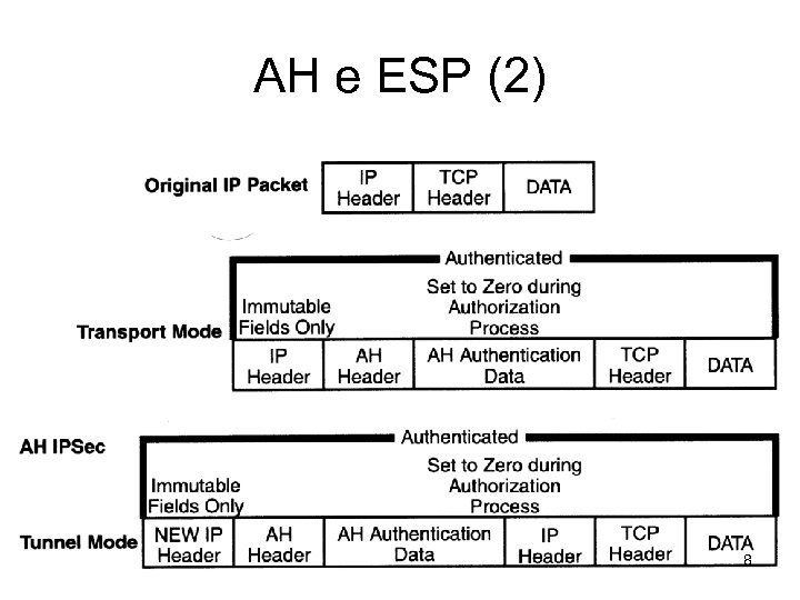 AH e ESP (2) 8 