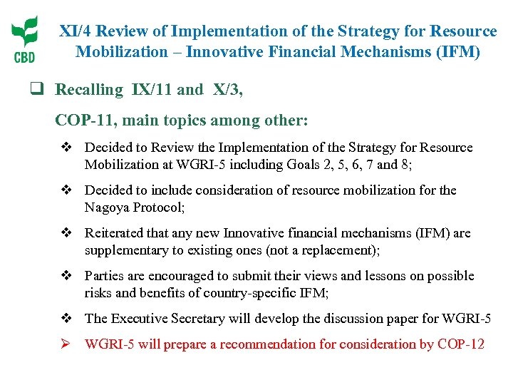 XI/4 Review of Implementation of the Strategy for Resource Mobilization – Innovative Financial Mechanisms
