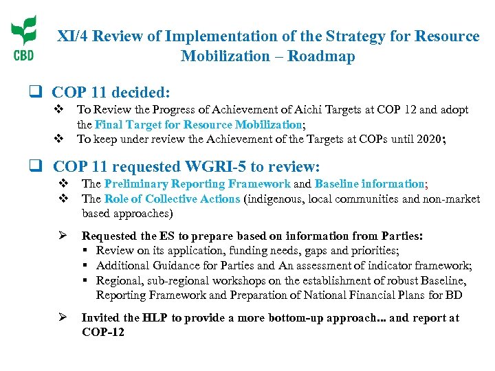 XI/4 Review of Implementation of the Strategy for Resource Mobilization – Roadmap q COP