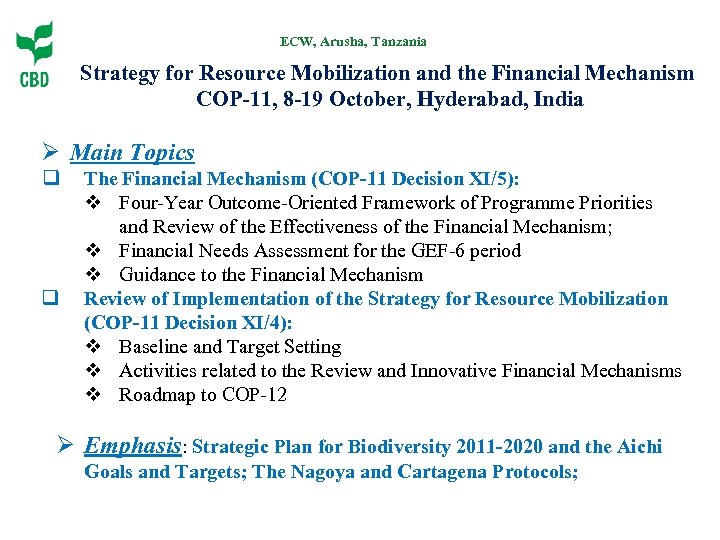 ECW, Arusha, Tanzania Strategy for Resource Mobilization and the Financial Mechanism COP-11, 8 -19