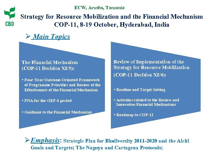 ECW, Arusha, Tanzania Strategy for Resource Mobilization and the Financial Mechanism COP-11, 8 -19