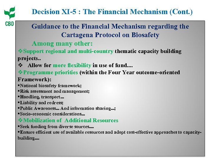 Decision XI-5 : The Financial Mechanism (Cont. ) Guidance to the Financial Mechanism regarding