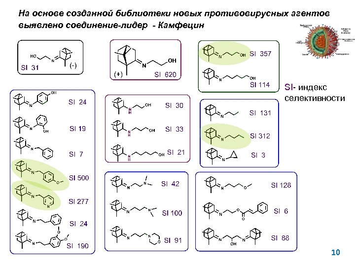 На основе созданной библиотеки новых противовирусных агентов выявлено соединение-лидер - Камфецин SI- индекс селективности