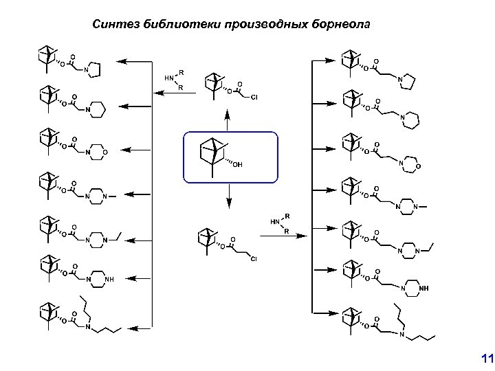 Синтез библиотеки производных борнеола 11 