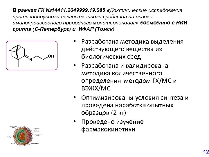 В рамках ГК № 14411. 2049999. 19. 085 «Доклинические исследования противовирусного лекарственного средства на