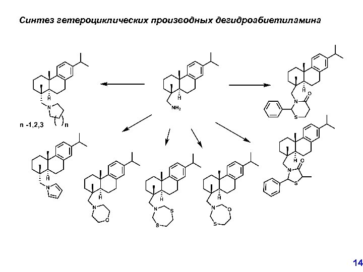 Синтез гетероциклических производных дегидроабиетиламина 14 