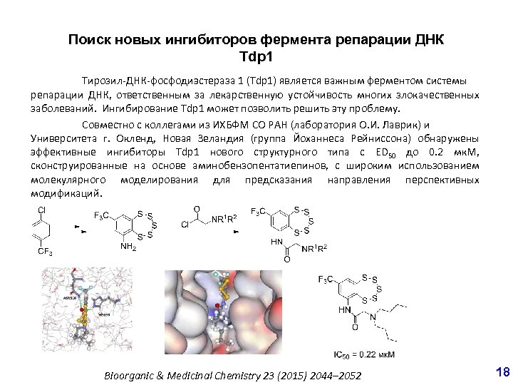 Поиск новых ингибиторов фермента репарации ДНК Tdp 1 Тирозил-ДНК-фосфодиэстераза 1 (Tdp 1) является важным