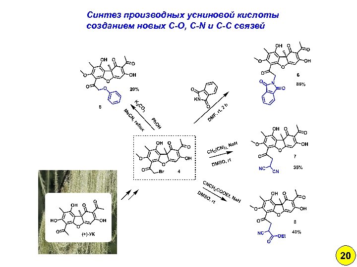 Синтез производных усниновой кислоты созданием новых C-O, C-N и C-C связей 20 
