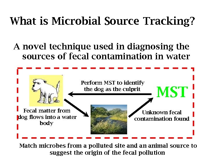 What is Microbial Source Tracking? A novel technique used in diagnosing the sources of