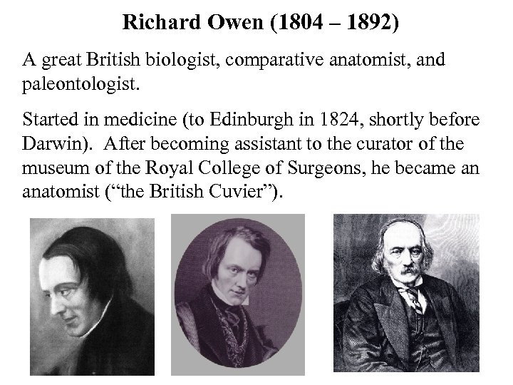 Richard Owen (1804 – 1892) A great British biologist, comparative anatomist, and paleontologist. Started