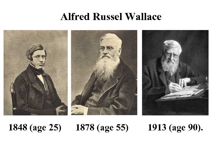 Alfred Russel Wallace 1848 (age 25) 1878 (age 55) 1913 (age 90). 