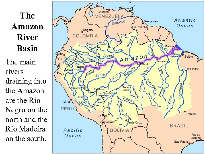 The Amazon River Basin The main rivers draining into the Amazon are the Rio