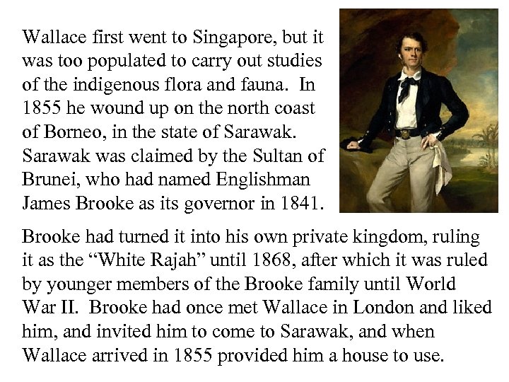 Wallace first went to Singapore, but it was too populated to carry out studies