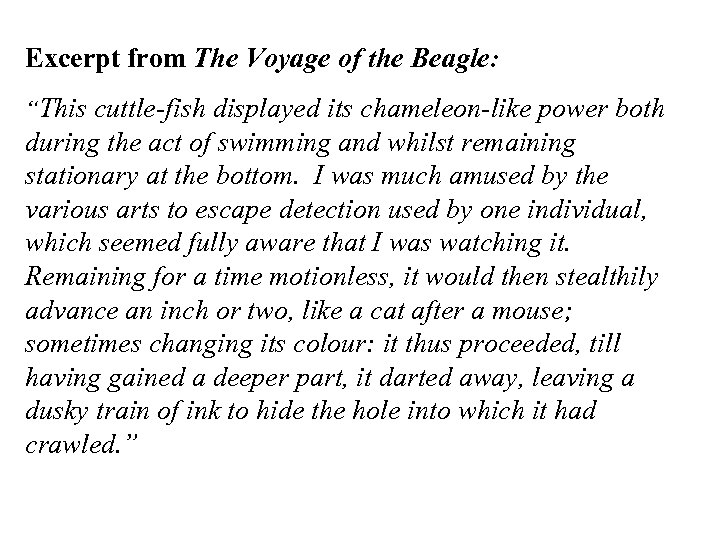 Excerpt from The Voyage of the Beagle: “This cuttle-fish displayed its chameleon-like power both