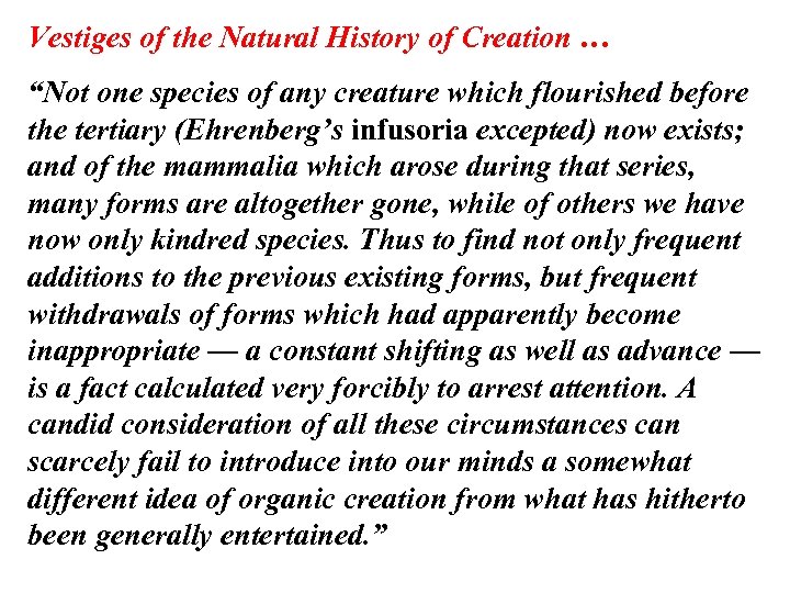 Vestiges of the Natural History of Creation … “Not one species of any creature