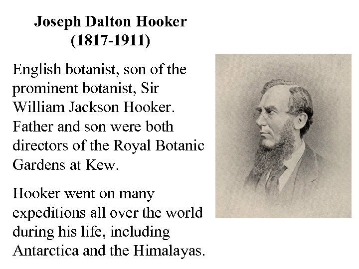 Joseph Dalton Hooker (1817 -1911) English botanist, son of the prominent botanist, Sir William