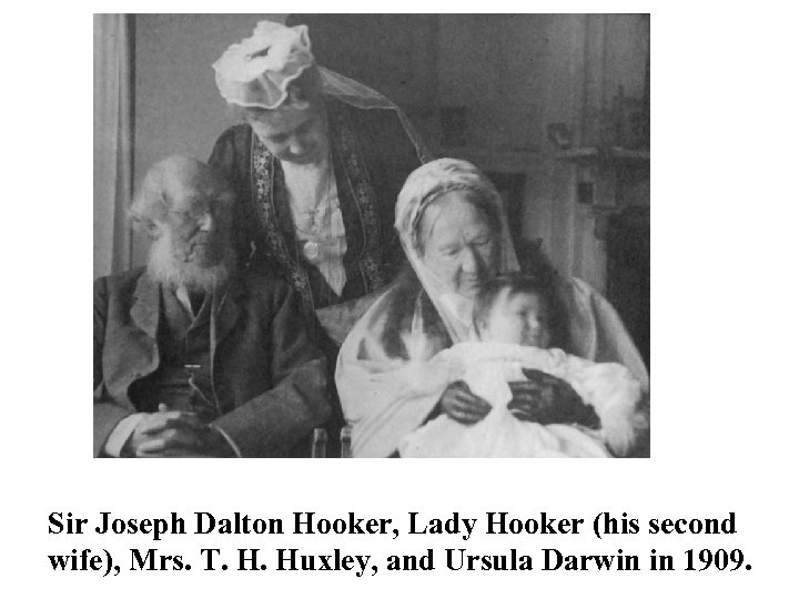 Sir Joseph Dalton Hooker, Lady Hooker (his second wife), Mrs. T. H. Huxley, and