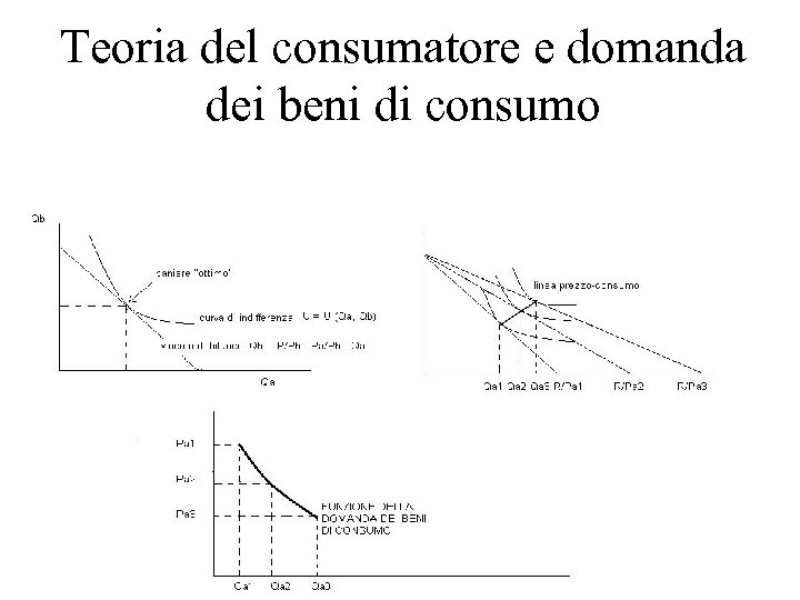 Teoria del consumatore e domanda dei beni di consumo 