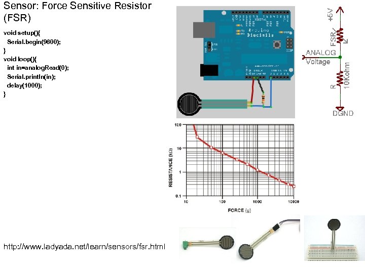 Sensor: Force Sensitive Resistor (FSR) void setup(){ Serial. begin(9600); } void loop(){ int in=analog.