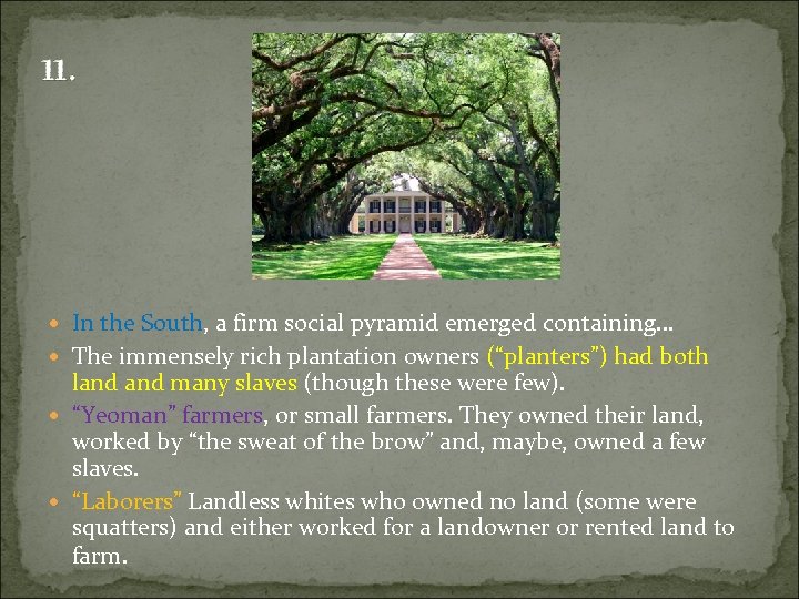 11. In the South, a firm social pyramid emerged containing… The immensely rich plantation