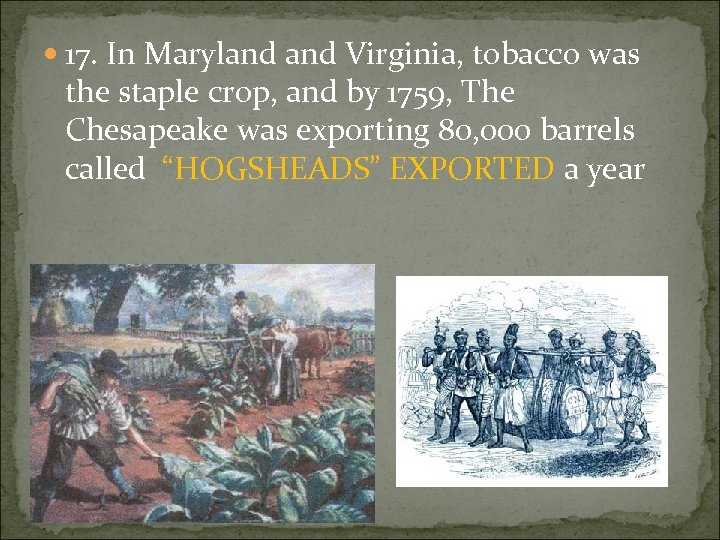  17. In Maryland Virginia, tobacco was the staple crop, and by 1759, The