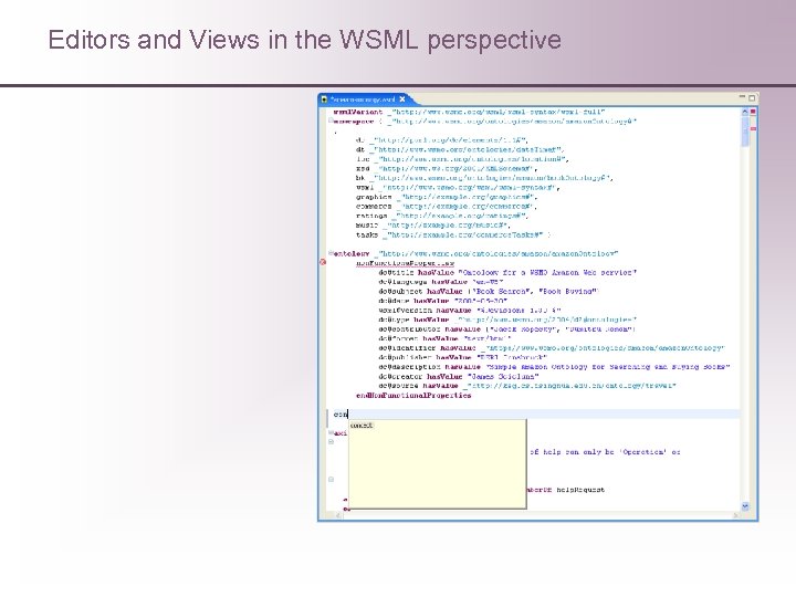 Editors and Views in the WSML perspective 